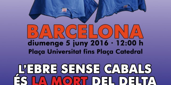 Manifestació a Barcelona de la Plataforma en defensa de l’Ebre