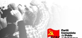 RESOLUCIÓ POLÍTICA DEL XV PLE DEL CC DEL PCPC